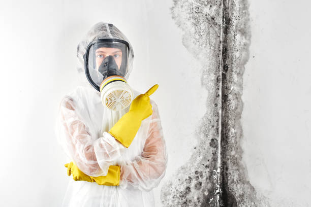 Best Forensic Mold Investigation  in Kotlik, AK