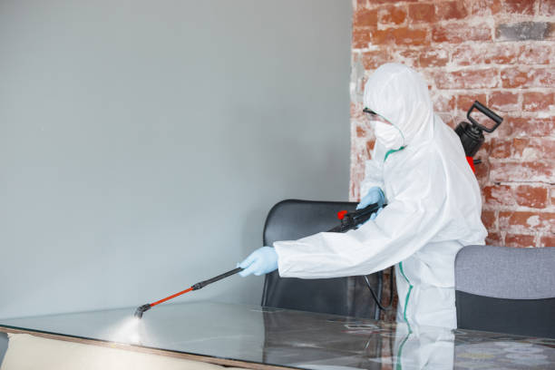 Best Crawl Space Mold Remediation  in Kotlik, AK